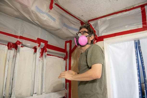 Best Commercial Mold Inspection  in Cass City, MI