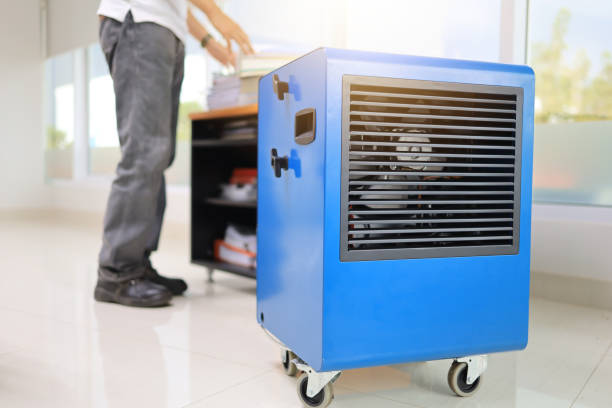 Best Mold Prevention Services  in Cass City, MI