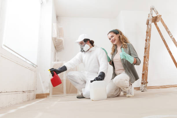 Best Crawl Space Mold Remediation  in Cass City, MI